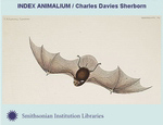 icon: Index Animalium / Charles Davies Sherbon
